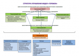 Структура управления МБДОУ "Теремок"